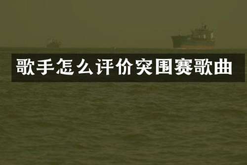 歌手怎么评价突围赛歌曲
