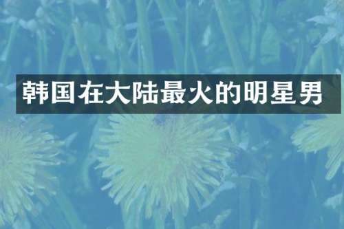 韩国在大陆最火的明星男