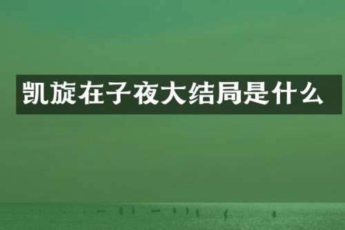 凯旋在子夜大结局是什么