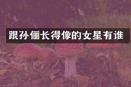 跟孙俪长得像的女星有谁