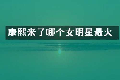 康了哪个女明星最火