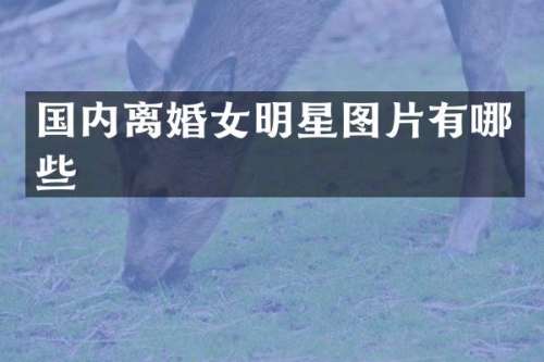 国内离婚女明星图片有哪些