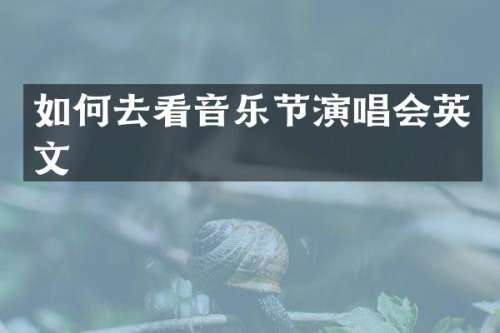 如何去看音乐节演唱会英文