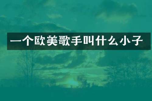 一个欧美歌手叫什么小子