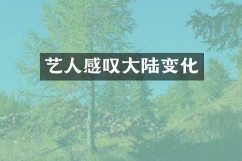 艺人感叹大陆变化