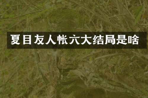 夏目友人帐六大结局是啥