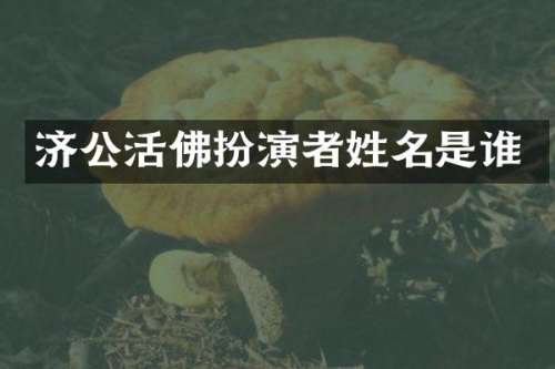 济公活佛扮演者姓名是谁