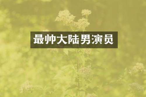 最帅大陆男演员