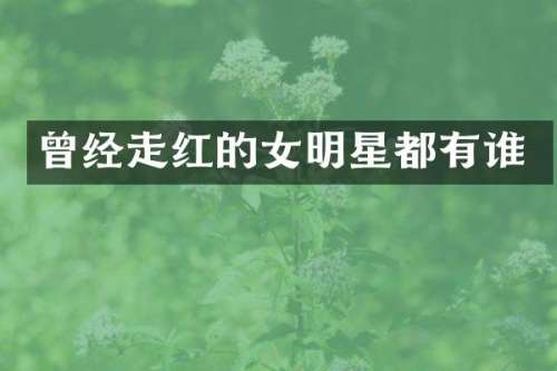曾经走红的女明星都有谁