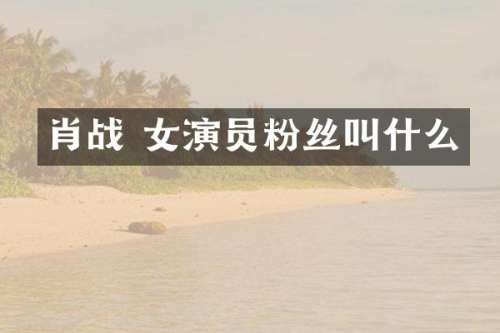 肖战 女演员粉丝叫什么