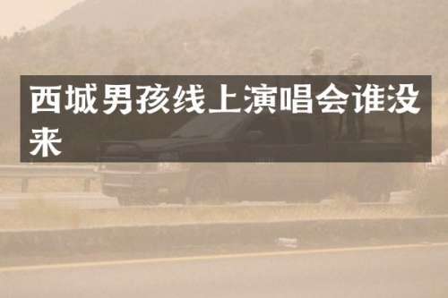 西城男孩线上演唱会谁没来