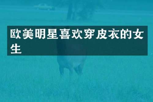 欧美明星喜欢穿皮衣的女生