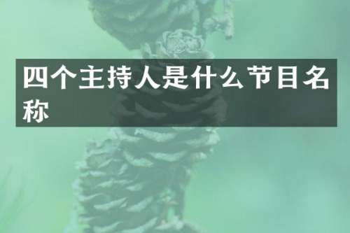 四个主持人是什么节目名称