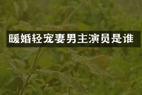 暖婚轻男主演员是谁
