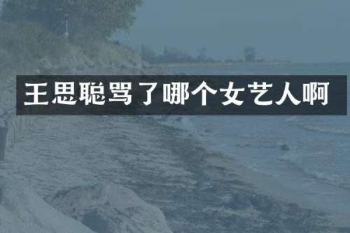 王思聪骂了哪个女艺人啊