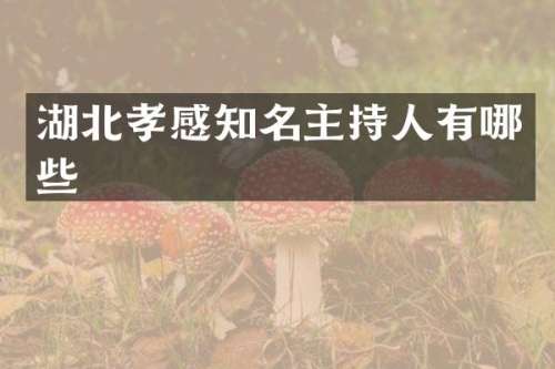 湖北孝感知名主持人有哪些