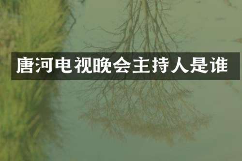 唐河电视晚会主持人是谁