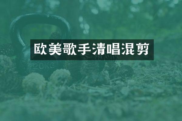 欧美歌手清唱混剪