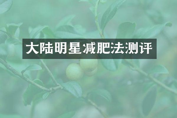 大陆明星减肥法测评
