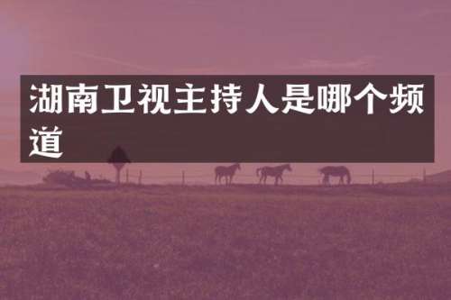 湖南卫视主持人是哪个频道