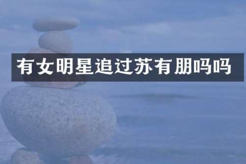 有女明星追过苏有朋吗吗