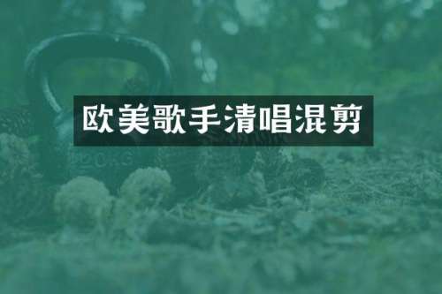 欧美歌手清唱混剪