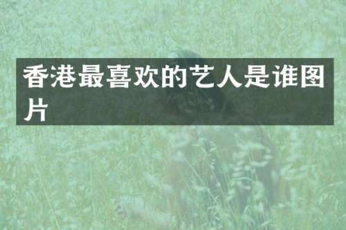 香港最喜欢的艺人是谁图片