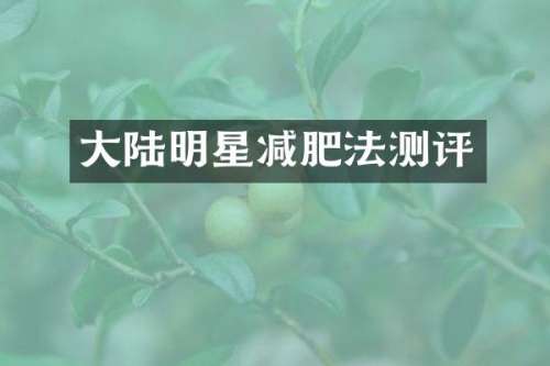 大陆明星减肥法测评