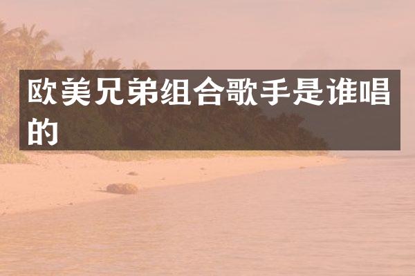 欧美兄弟组合歌手是谁唱的