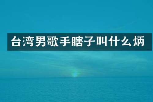 台湾男歌手瞎子叫什么炳