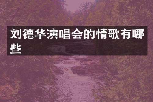 刘德华演唱会的情歌有哪些