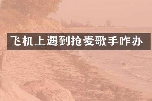 飞机上遇到抢麦歌手咋办