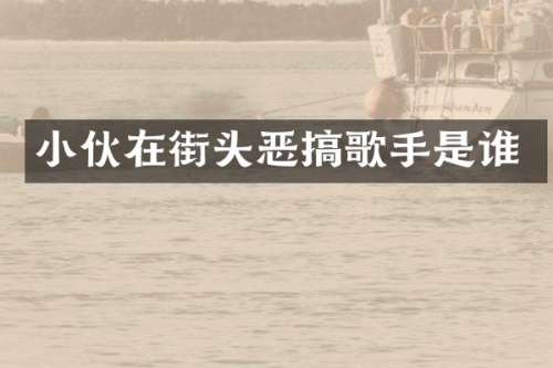 小伙在街头恶搞歌手是谁