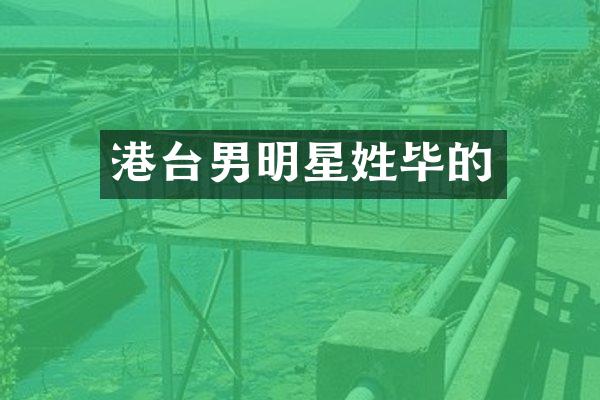 港台男明星姓毕的