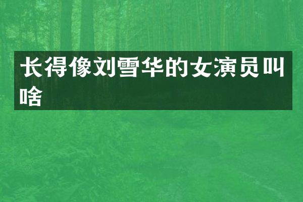 长得像刘雪华的女演员叫啥