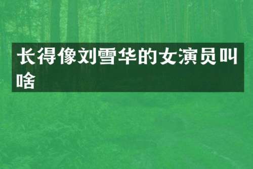 长得像刘雪华的女演员叫啥