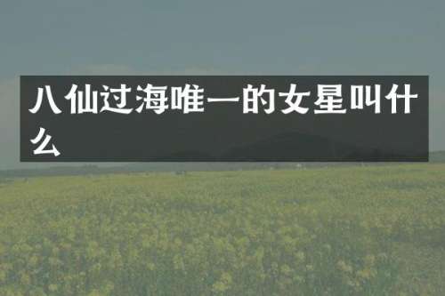 八仙过海唯一的女星叫什么