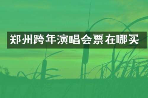 郑州跨年演唱会票在哪买