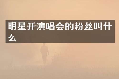 明星开演唱会的粉丝叫什么