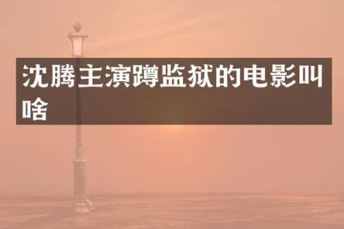 沈腾主演蹲监狱的电影叫啥