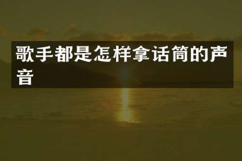 歌手都是怎样拿话筒的声音