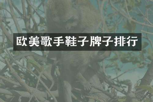 欧美歌手鞋子牌子排行