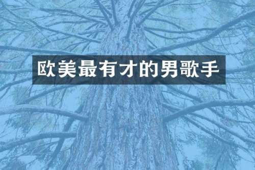 欧美最有才的男歌手