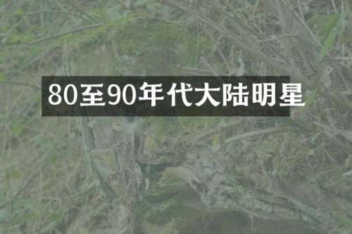 80至90年代大陆明星