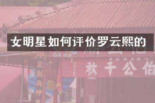 女明星如何评价罗云熙的