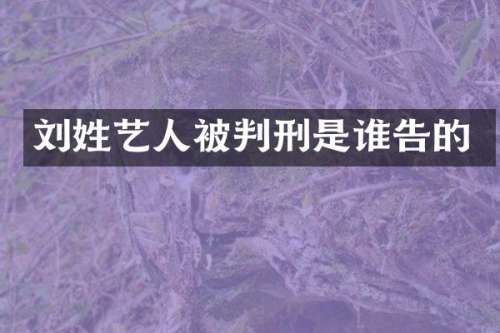刘姓艺人被判刑是谁告的