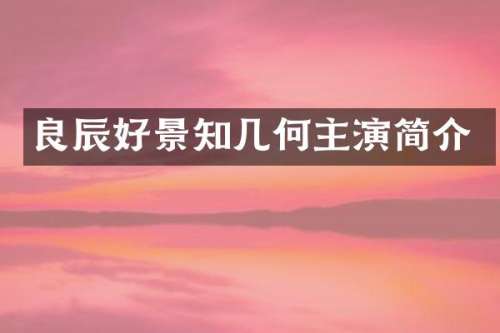良辰好景知几何主演简介