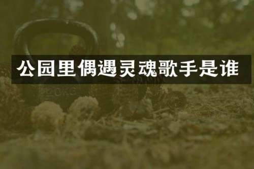 公园里偶遇灵魂歌手是谁