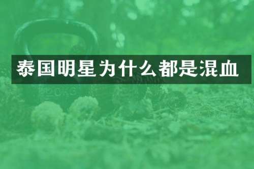 泰国明星为什么都是混血