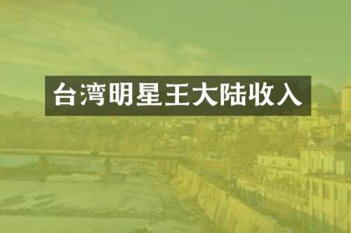 台湾明星王大陆收入